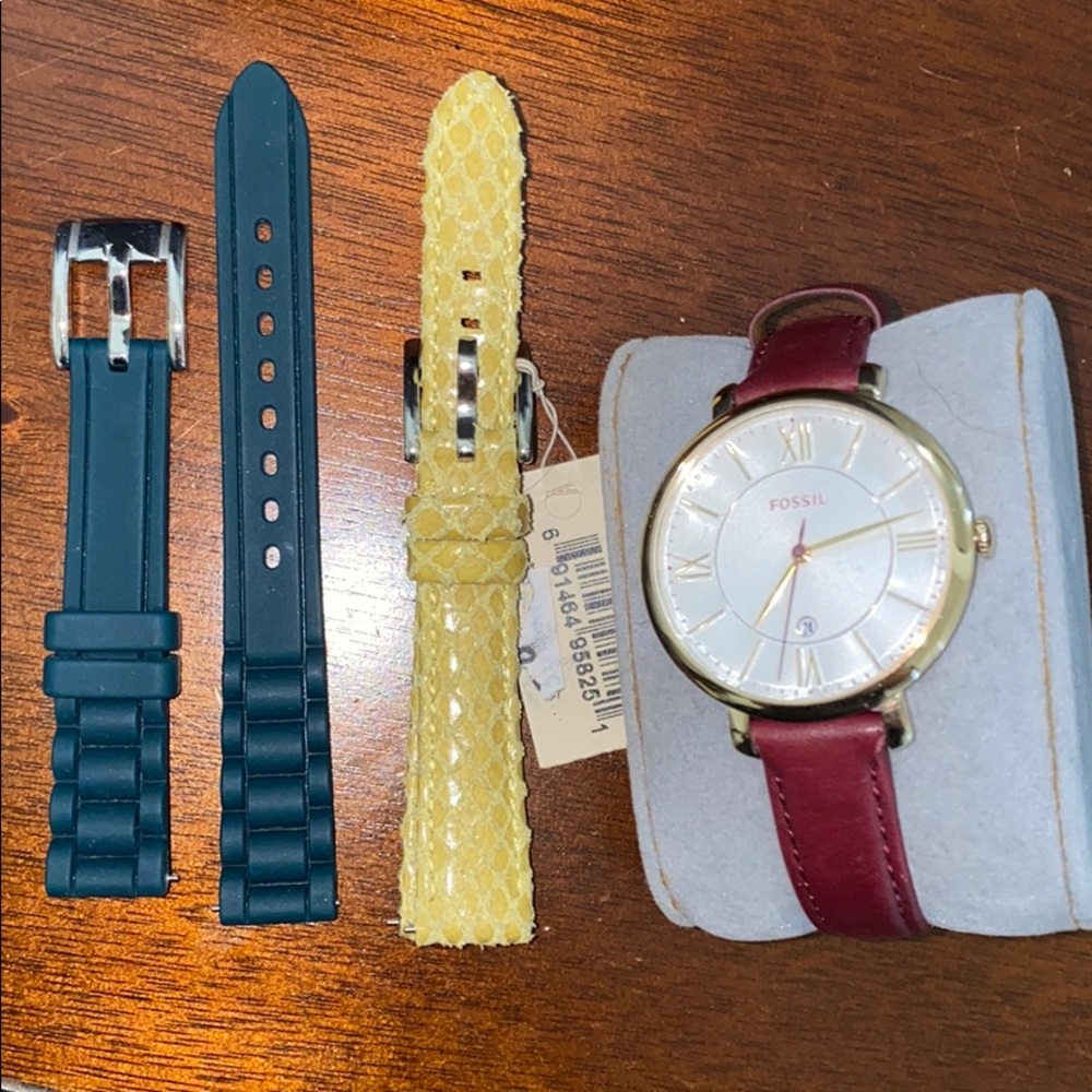 Fossil Watch PLUS Interchangeable Bands